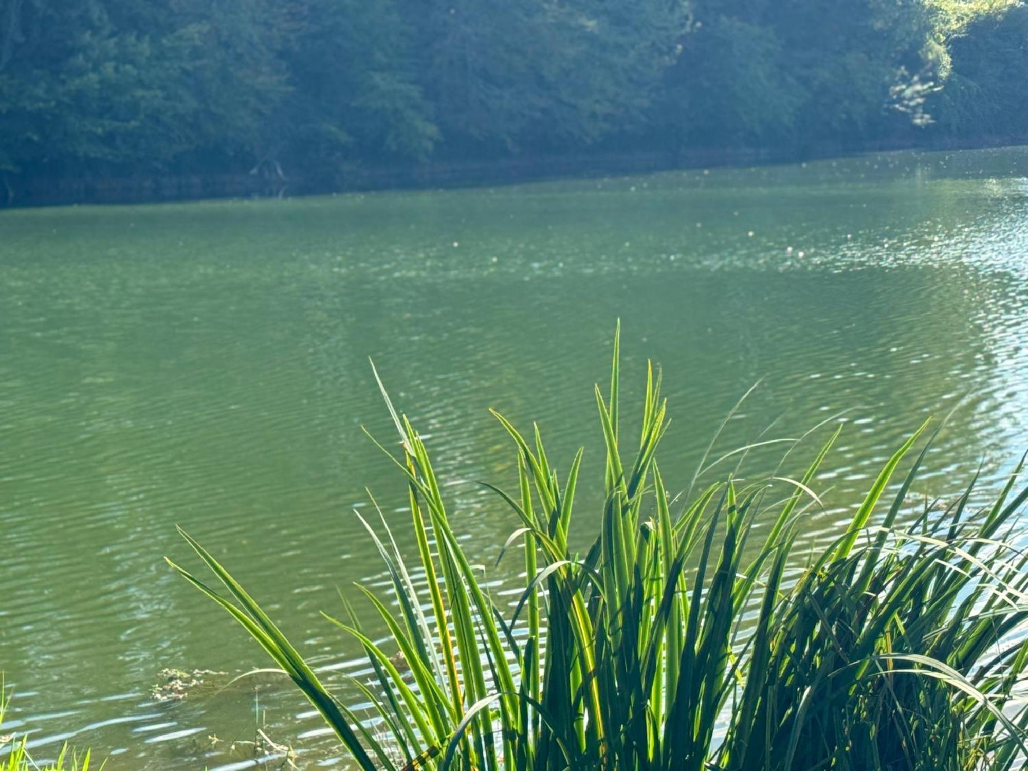 Lac De Lumiere. Relax With Rural Lakeside Living Herry Экстерьер фото